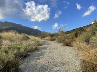 Enlarge photo 17