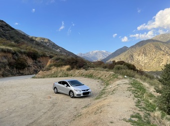Enlarge photo 35