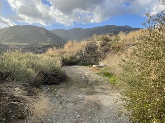 Enlarge photo 20