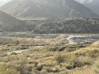 Enlarge photo 28
