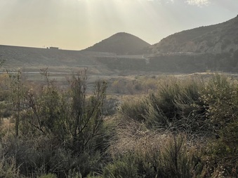 Enlarge photo 19