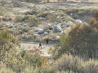 Enlarge photo 25