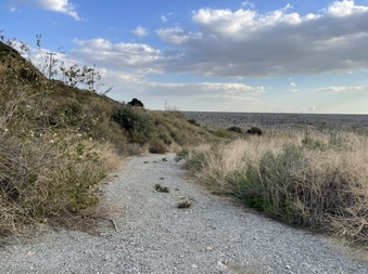 Enlarge photo 11