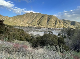 Enlarge photo 32