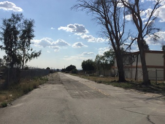 Enlarge photo 47