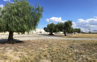 Enlarge photo 54
