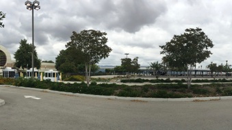 Enlarge photo 251