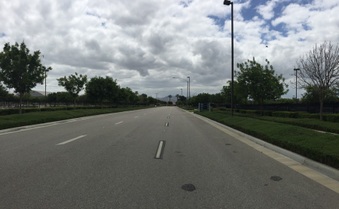 Enlarge photo 254