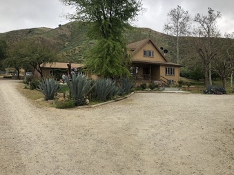 Sue Ann's House