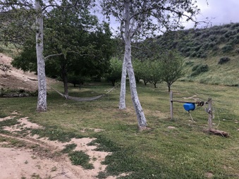 Enlarge photo 14