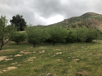 Enlarge photo 17