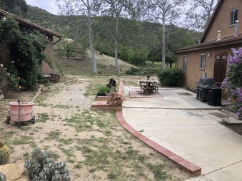 Enlarge photo 54