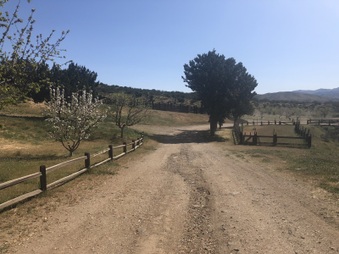 Enlarge photo 6