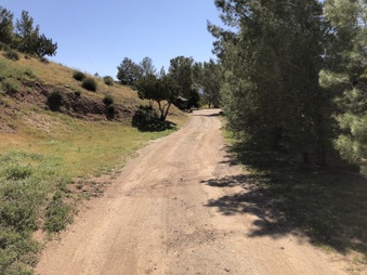 Enlarge photo 74