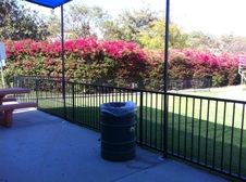 Enlarge photo 5