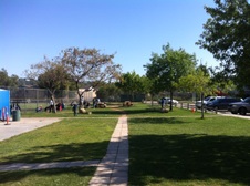Enlarge photo 9