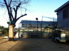Enlarge photo 14