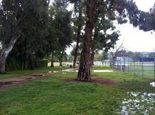 Enlarge photo 17