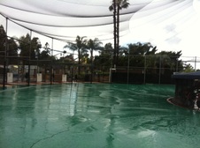 Enlarge photo 12