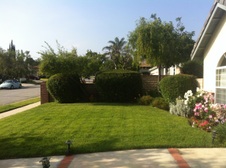 Enlarge photo 2