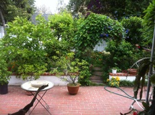 Enlarge photo 37