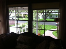 Enlarge photo 48