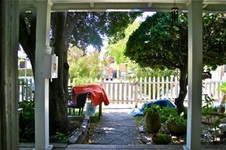 Enlarge photo 10