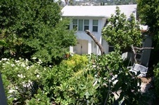 Enlarge photo 21