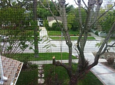 Enlarge photo 44
