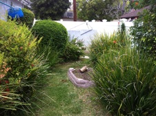 Enlarge photo 31