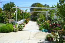 Enlarge photo 38