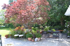 Enlarge photo 12