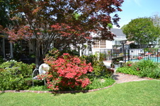 Enlarge photo 19