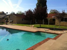 Enlarge photo 30