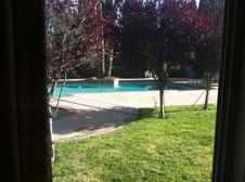 Enlarge photo 42