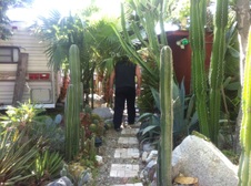 Enlarge photo 6