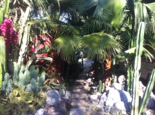 Enlarge photo 7