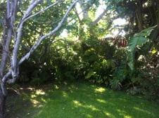 Enlarge photo 13