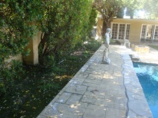 Enlarge photo 17