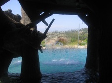 Enlarge photo 93