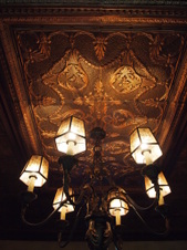 Enlarge photo 45