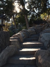 Enlarge photo 53