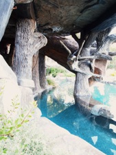 Enlarge photo 59