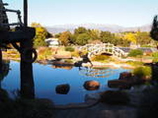 Enlarge photo 88