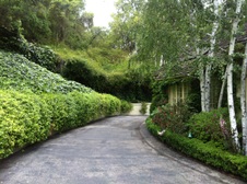 Marty's House