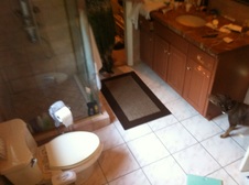 Enlarge photo 33