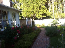 Enlarge photo 42