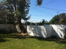 Enlarge photo 45