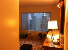 Enlarge photo 15