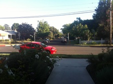 Enlarge photo 23